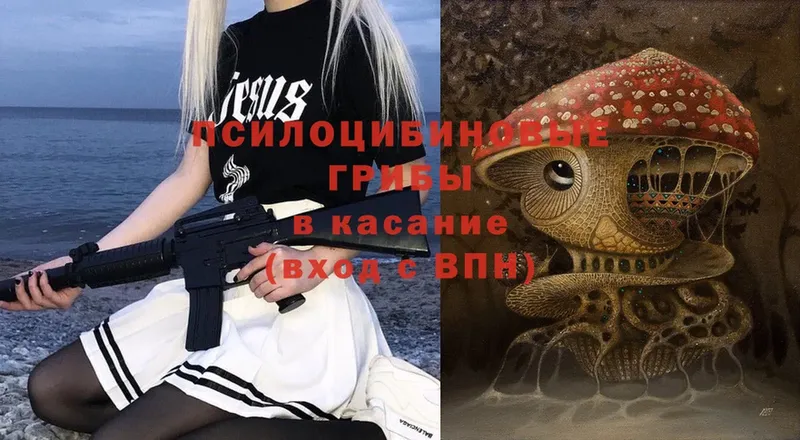 Псилоцибиновые грибы Psilocybine cubensis  KRAKEN рабочий сайт  Пудож 